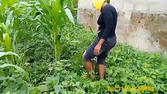 Agriculture Teacher Visits Her Students' Maize Crop And Receives Oral Sex From A Fortunate College Boy