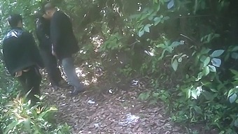 Gay Asian Park Encounter Turns Into Steamy Outdoor Blowjob Session